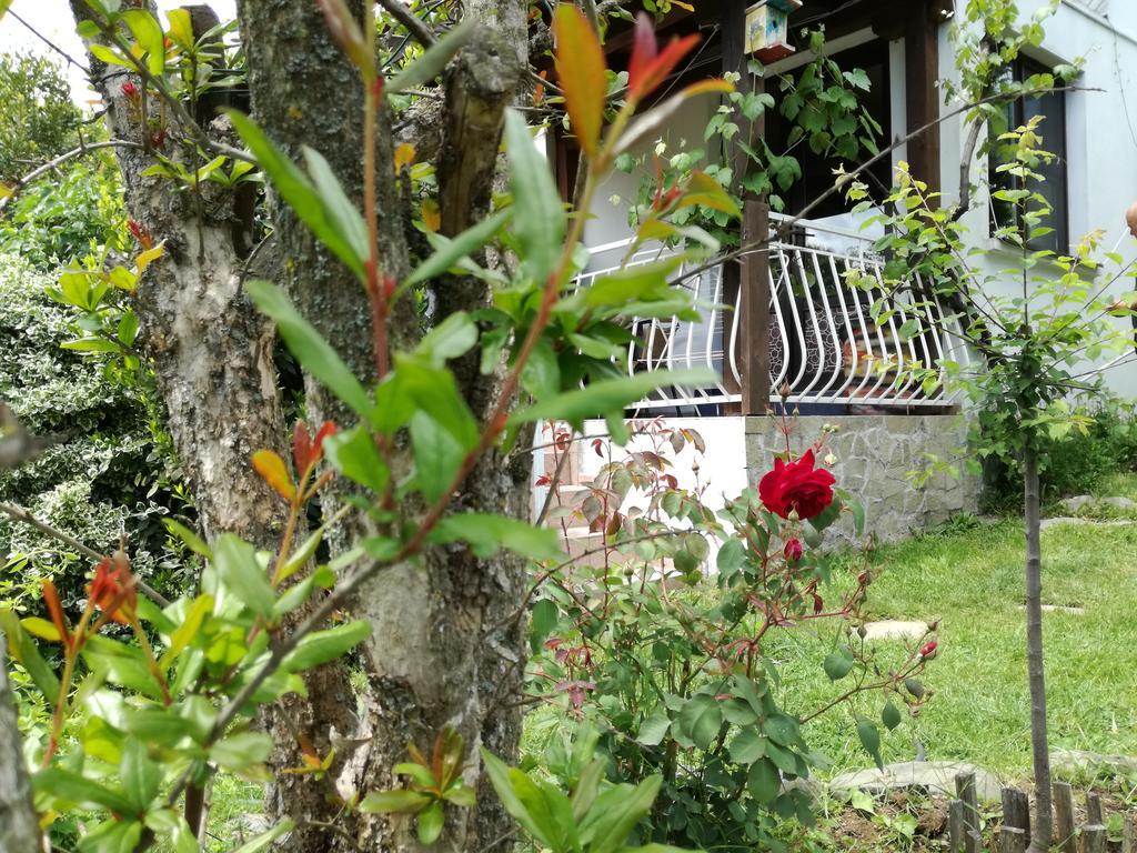 Guest House Fanny Sinemoretz Esterno foto